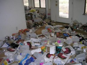 Foreclosure Cleanup